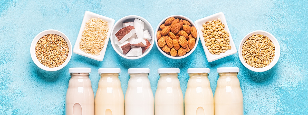 Assorted plant-based milk bottles are aligned below six bowls of grains and nuts on a textured blue background, conveying freshness and variety.